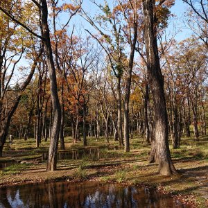 アートビオトープ那須