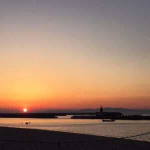 せんなん里海公園