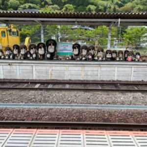 信楽駅