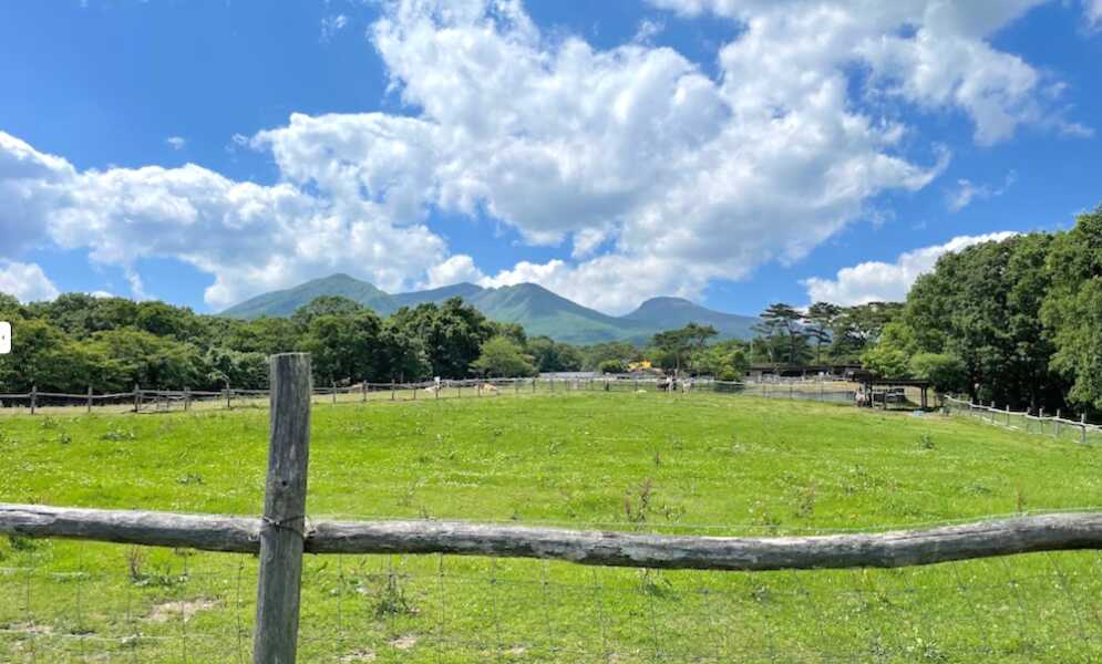 那須高原 南ケ丘牧場