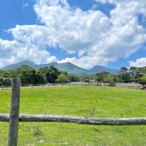 那須高原 南ケ丘牧場