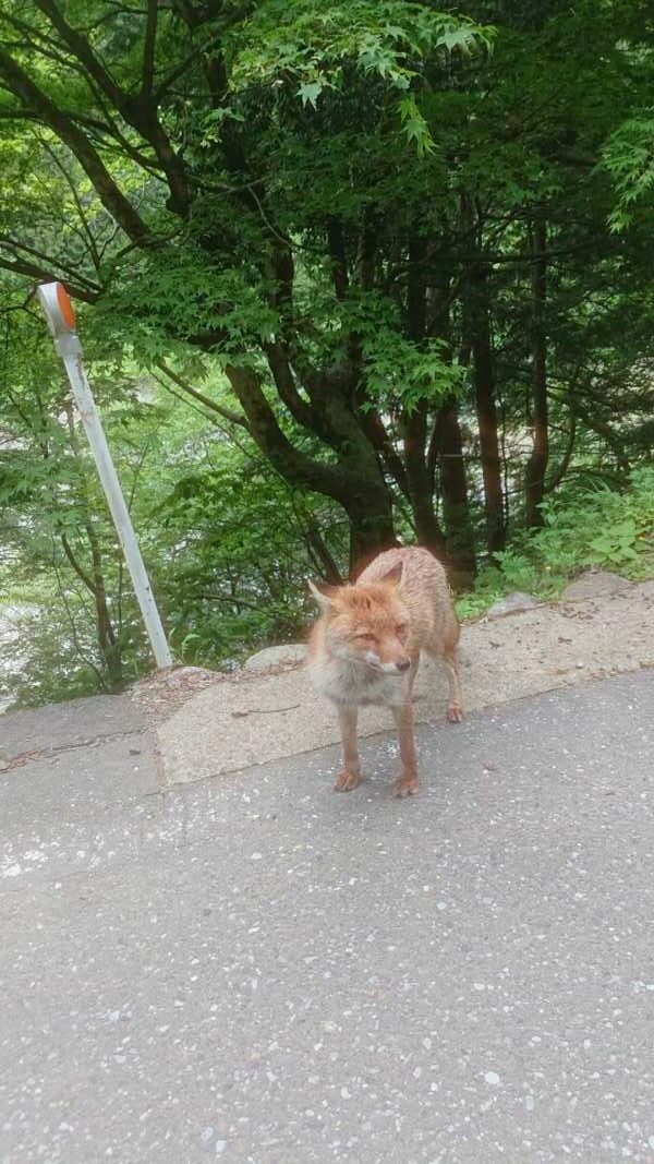 上大須ダム