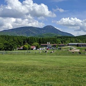 長門牧場