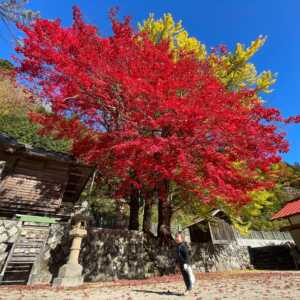徳山神社
