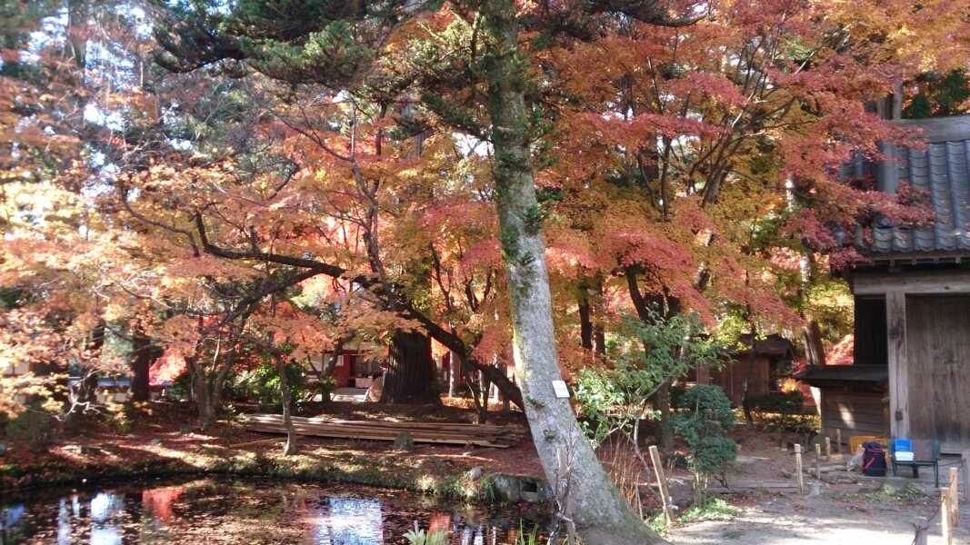 中尊寺
