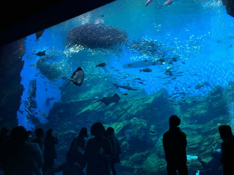 仙台うみの杜水族館