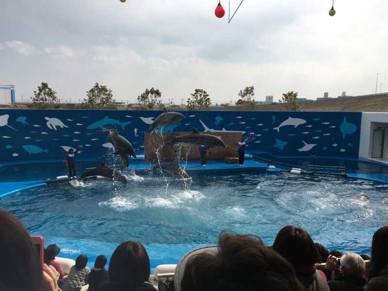 仙台うみの杜水族館