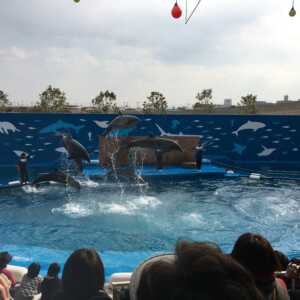 仙台うみの杜水族館