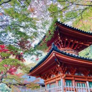 大威徳寺