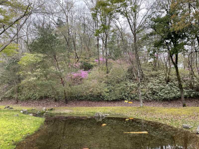 滋賀県立陶芸の森