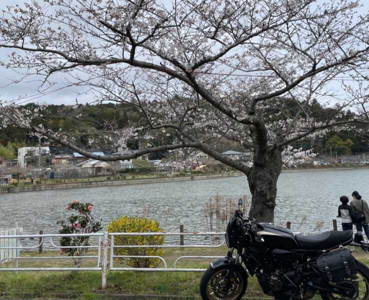 八鶴湖