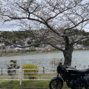 八鶴湖