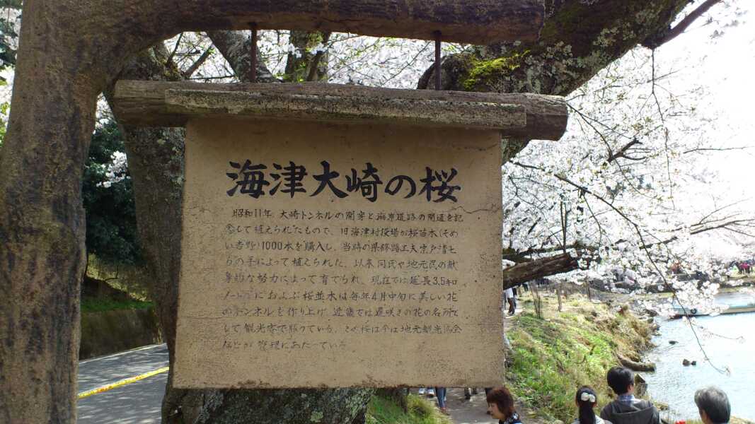 海津大崎