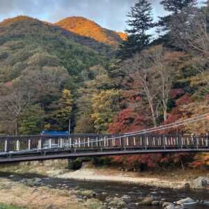 紅の吊橋