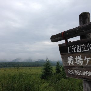 戦場ヶ原