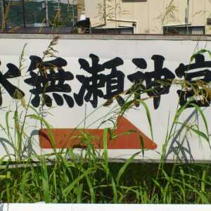 水無瀬神宮