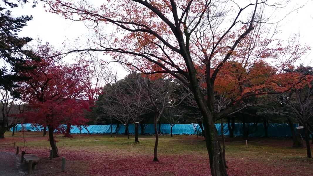 二条城