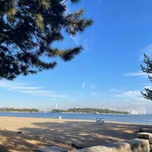 海の公園