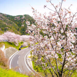 野福峠