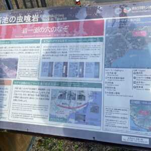 高池の虫喰岩
