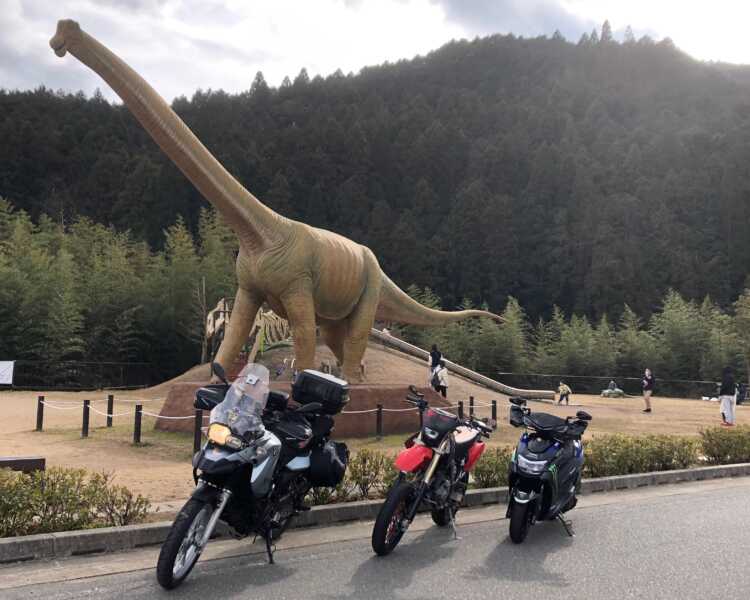 丹波竜の里公園