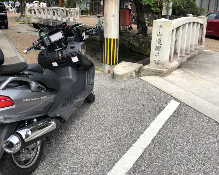 梅花藻の観れる清水