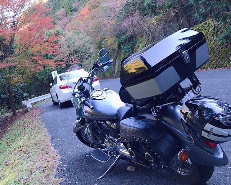 白藤の滝