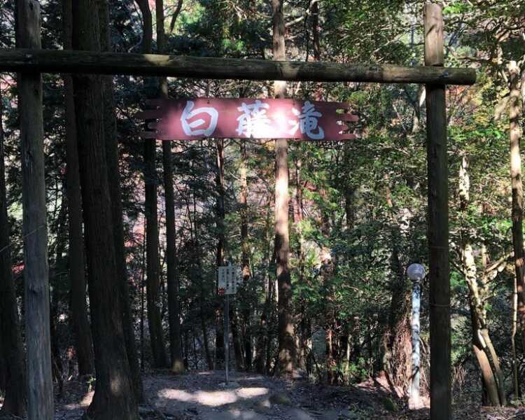 白藤の滝
