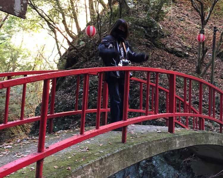 白藤の滝