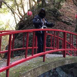 白藤の滝