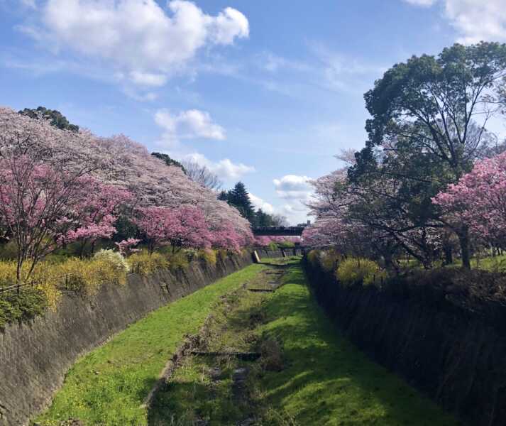 国営昭和記念公園