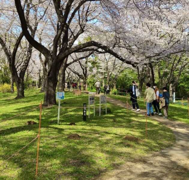 国営昭和記念公園