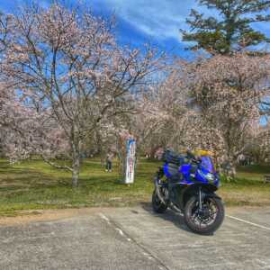 徳佐八幡宮