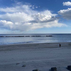 浜の宮ロードパーク