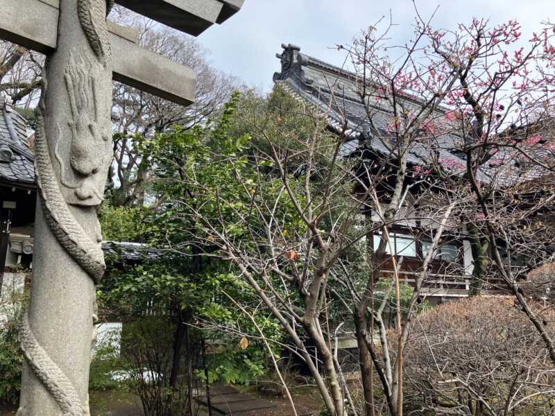 高円寺