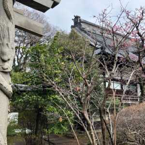 高円寺