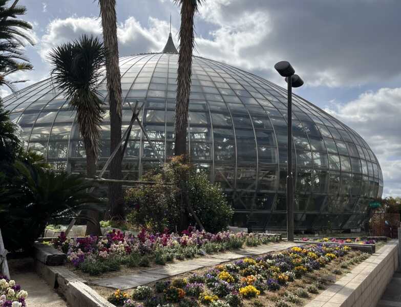 手柄山植物園