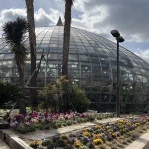手柄山植物園