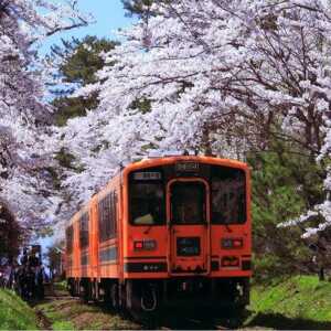 芦野公園