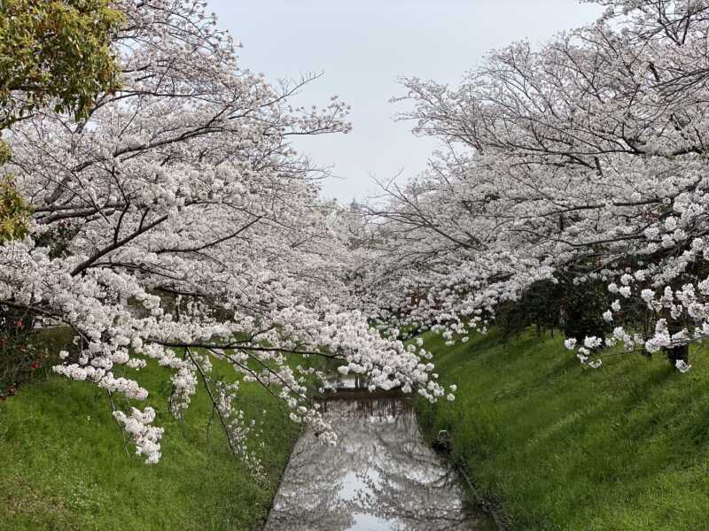 堀内公園