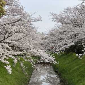 堀内公園