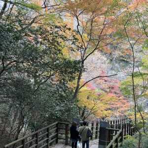 花貫渓谷