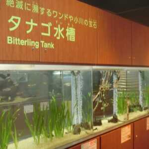 相模川ふれあい科学館 アクアリウムさがみはら