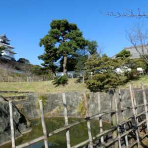 掛川城