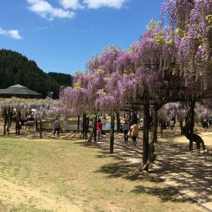 白井大町公園