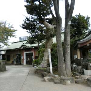 桐ヶ谷氷川神社
