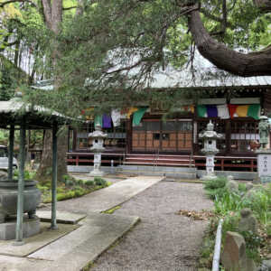 杉山神社 (武藏國六之宮)