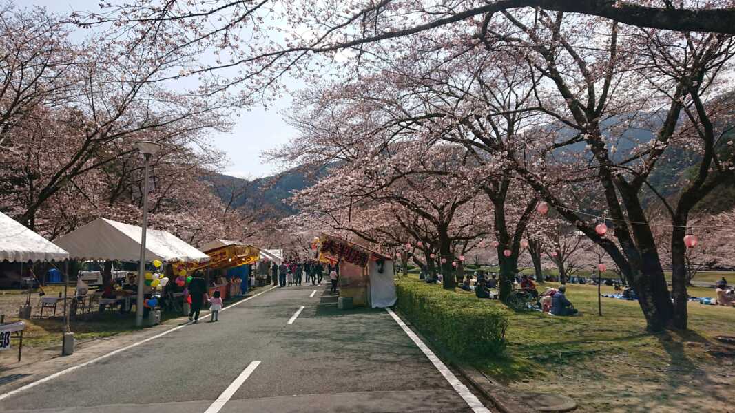 下北山スポーツ公園 きなりの郷