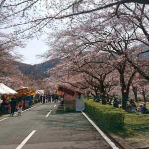 下北山スポーツ公園 きなりの郷