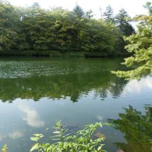 雲場池